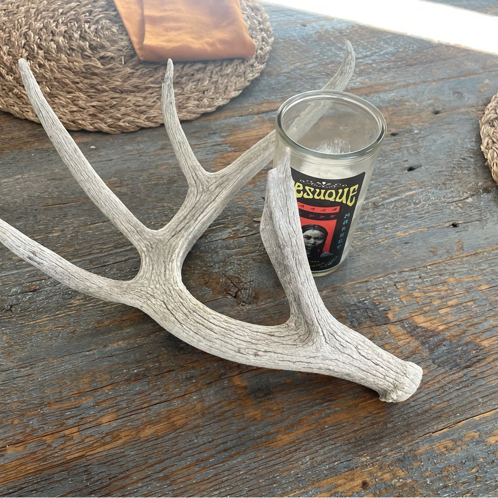 Deer shed - Picture 2 of 2